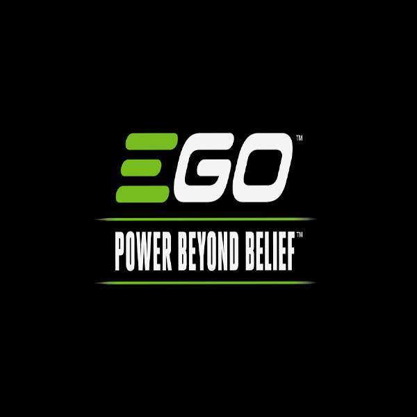LOgo Power beyond belief